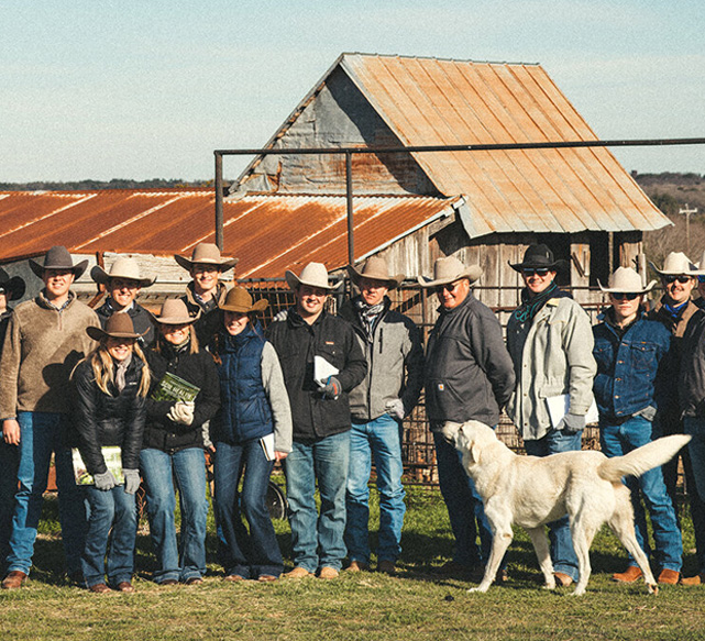 capra-img-05